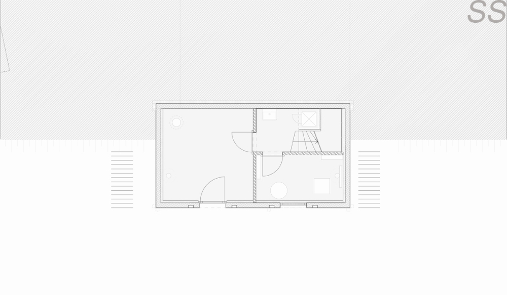 dubuis-christe_plan ss