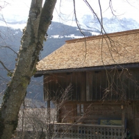 lange_photo2