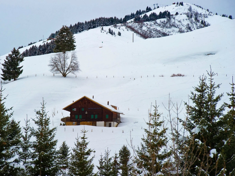 troistorrents_photo1