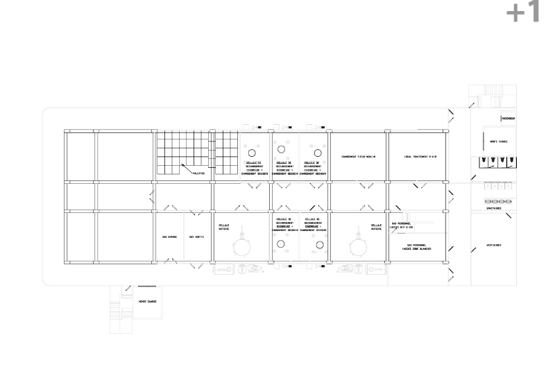 orgamol_plan_1