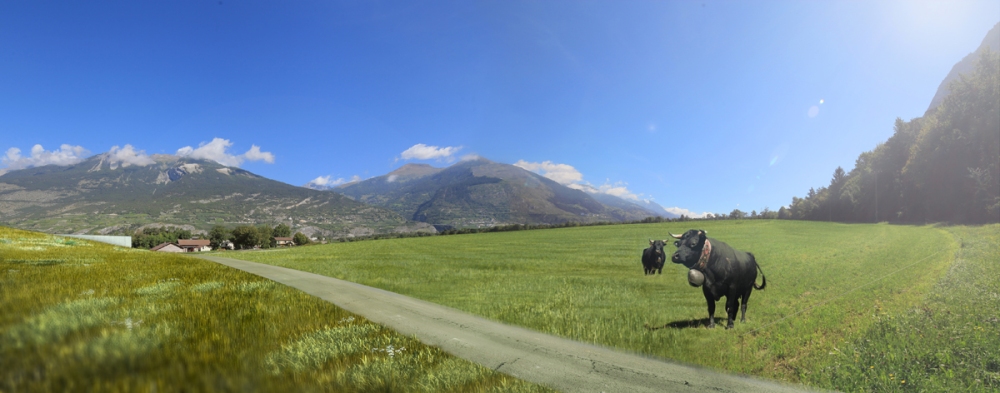 A9_jonction_image18