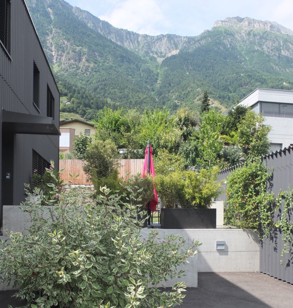 gosset_photo6
