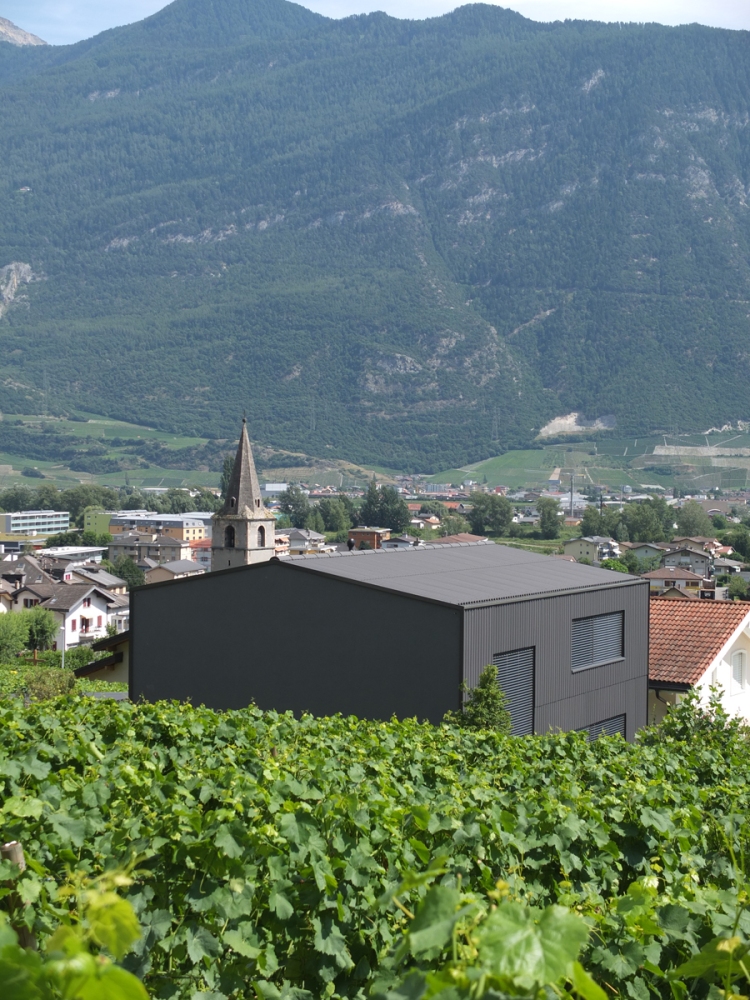 gosset_photo7