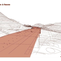 a9_passage_faune_image2