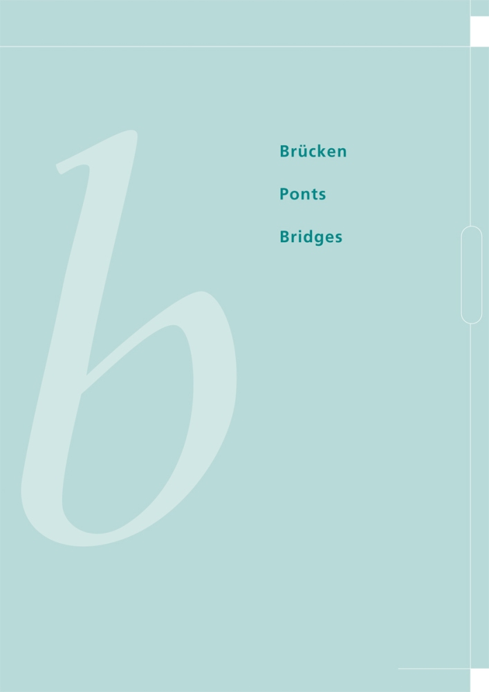 bls_alptransit_brucken-ponts-bridges01